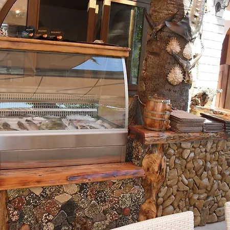 公寓 Desanka *